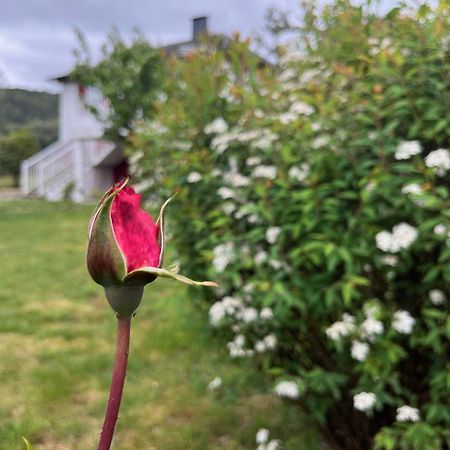 A Casina Casa Rural En Galicia Ourense Luaran gambar