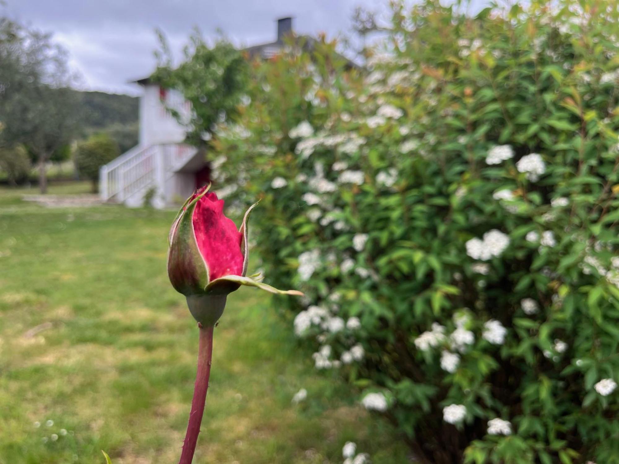 A Casina Casa Rural En Galicia Ourense Luaran gambar