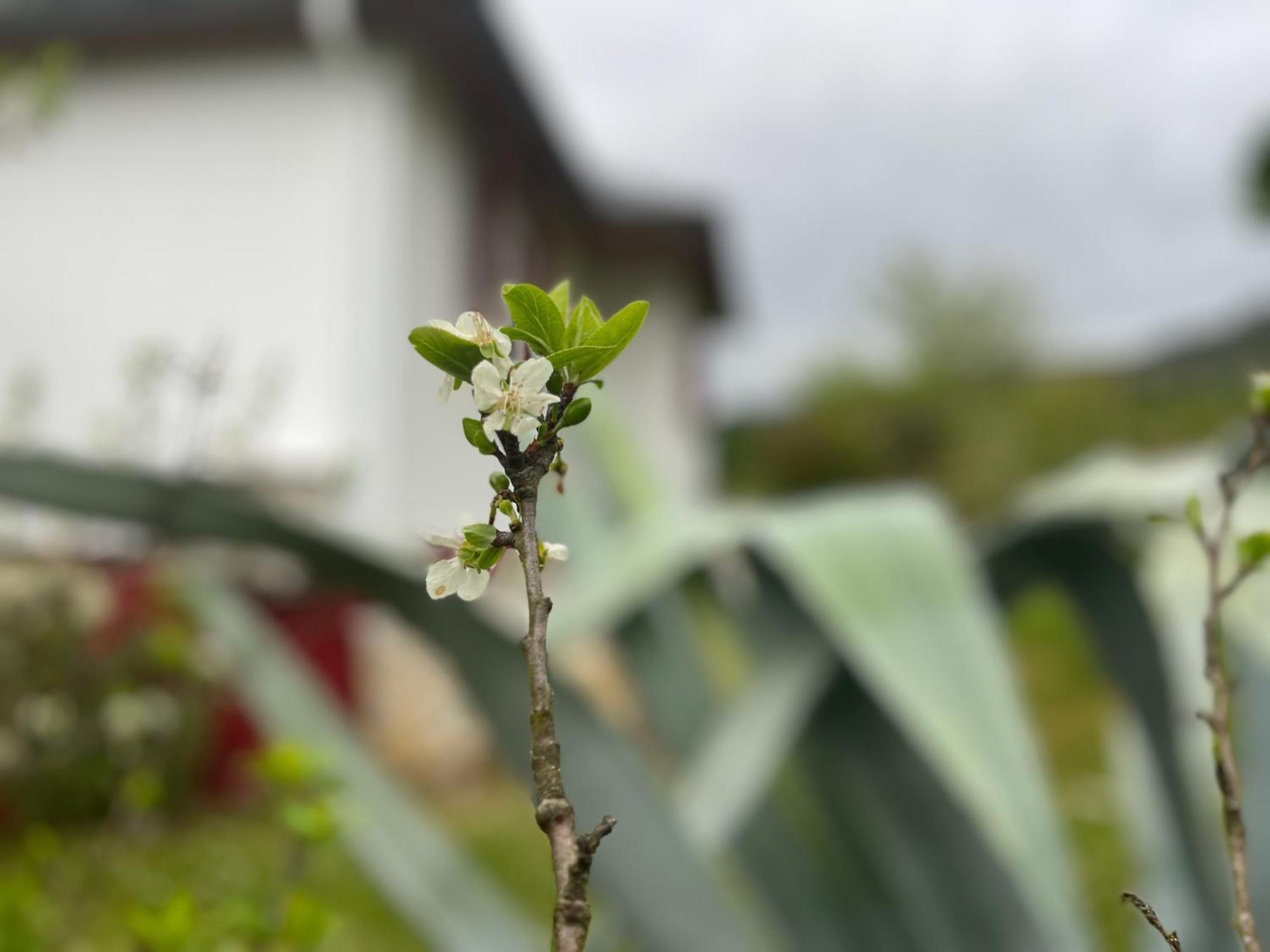 A Casina Casa Rural En Galicia Ourense Luaran gambar